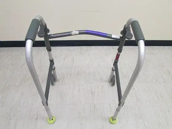 Mobility Support