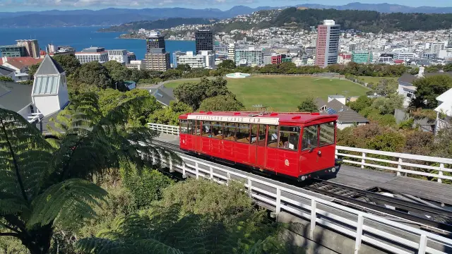 New Zealand - Top 10 Countries For Caregivers