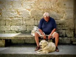 Pet Therapy Dogs Near Me