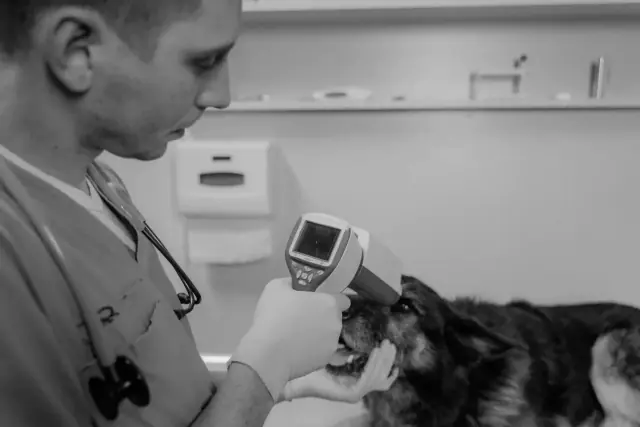 Vet Near Me Clinic Mobile scaled