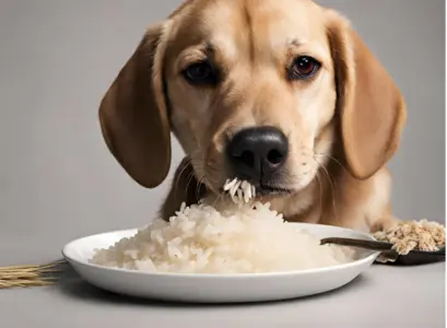Can Dogs Eat Brown Rice