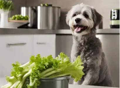 Can Dogs Eat Raw Celery