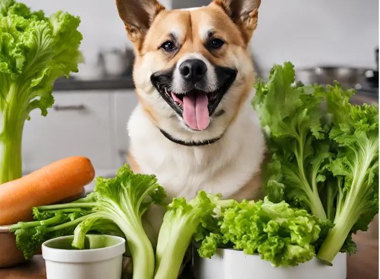 Is Celery Good for Dogs? Discover The 7 Key Health Benefits