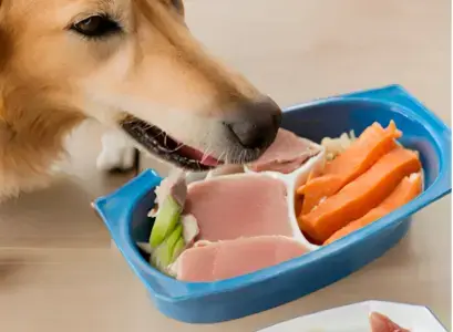 Tuna For Dogs